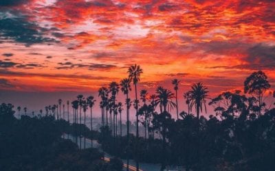 WHAT KIND OF HOUSE ARE YOU?