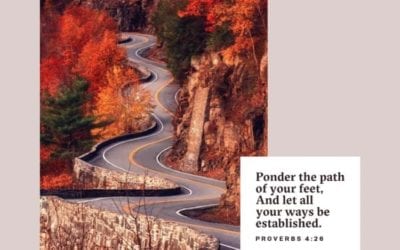 BARTERING YOUR BIRTHRIGHT