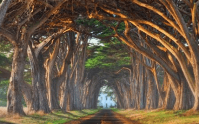 STARTING AT THE FINISH LINE