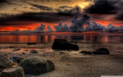 THEY HAVE ALL LOST THEIR HEAD