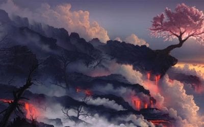 GARDEN OF GETHSEMANE