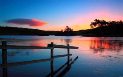 EVERYTHING PRODUCES AFTER ITS OWN KIND