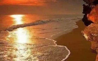 THE ASSEMBLY OF THE FIRST BORN