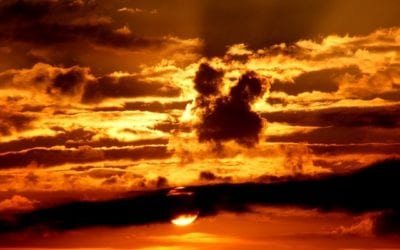 RARE AND BEAUTIFUL TREASURES (PART II)