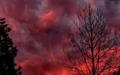 THE BIBLE: A GATEWAY TO DWELLING