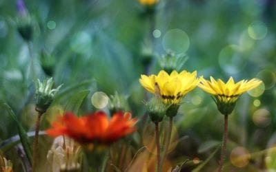 HOW TO LOVE YOUR NEIGHBOUR