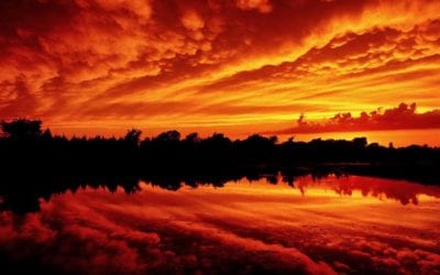 A NAIL IN A SURE PLACE