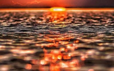 MANY SHALL FALL INTO DECEPTION