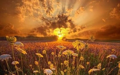 A FALSE CHRISTIANITY