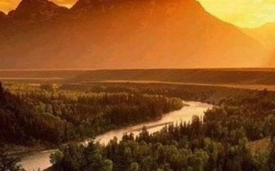 ARISE, LET US GO UP TO ZION