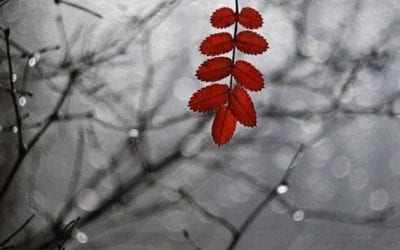 HE WHO HAS EARS TO HEAR