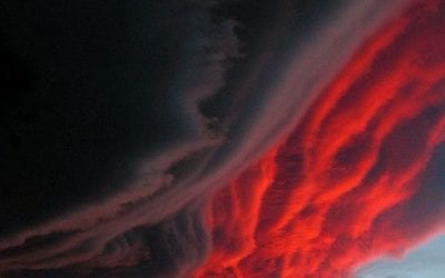 THE NINE FRUITS OF THE SONS OF DARKNESS