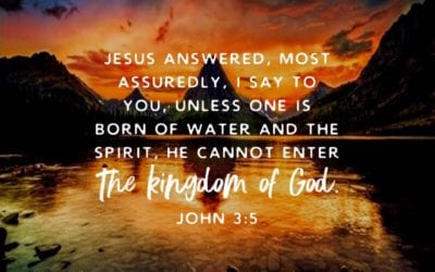 “I AM” THE CROWN OF LIFE