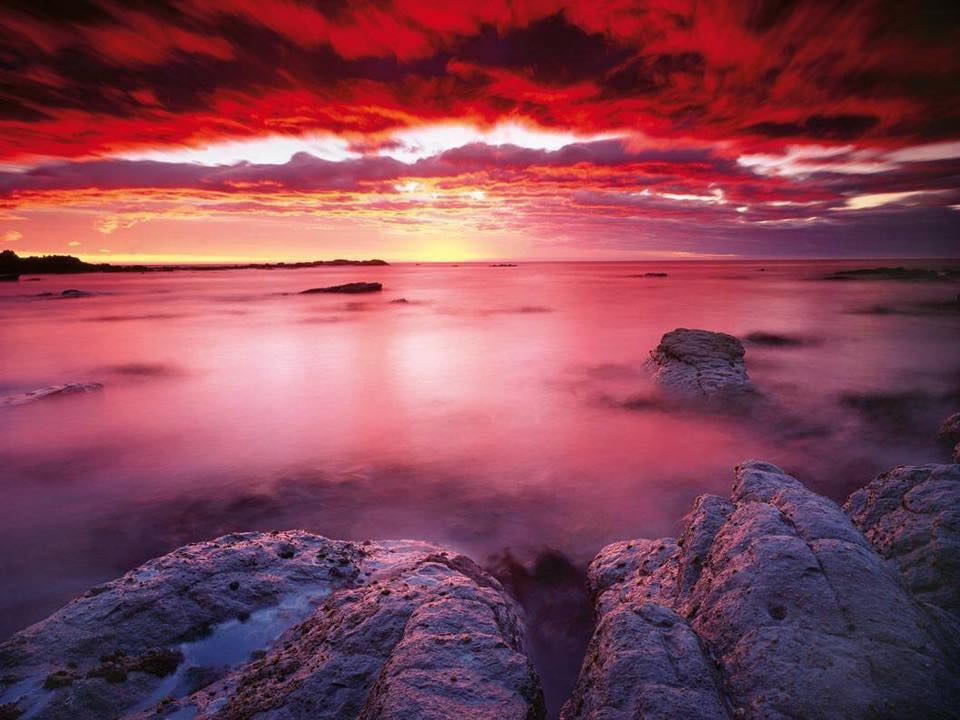 ASSEMBLY OF THE FIRST BORN