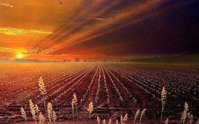 LIFE IS WHERE THE FATHER IS