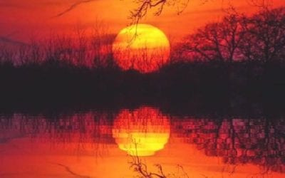 HAVE THEY NOT STOLEN A GLORY THAT BELONGS TO ANOTHER