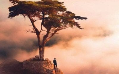 YOUR PEOPLE SHALL BE VOLUNTEERS