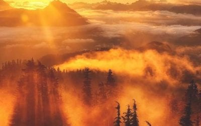 THE WORDS THAT I SPEAK