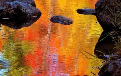 THE “NEW GOSPEL” ACCOMODATES “THE PHAROAH OF SELF”