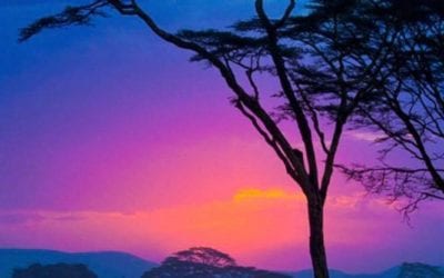 A COMPANY OF GOOD SAMARITANS