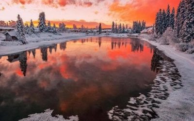 O THE JOY OF NEW CREATION