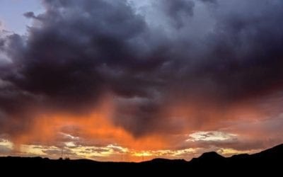 GET THINE HOUSE IN ORDER