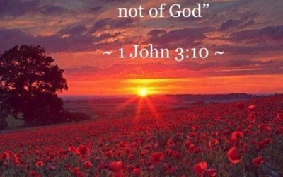 MASQUERADING AS AN ANGEL OF LIGHT