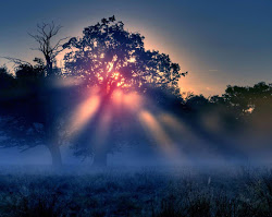 I HAVE BEEN CRUCIFIED WITH CHRIST