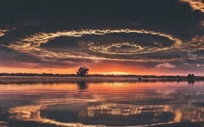 AN INHERITANCE OF SUBSTANCE