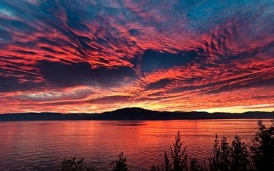 AT THE VERY HEART OF IT ALL