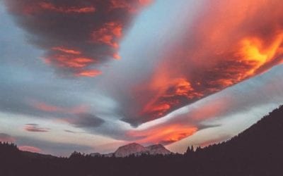 DESTINY IS FOUND IN ASSIGNMENT