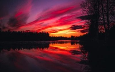 DID YOU LEARN TO LOVE?