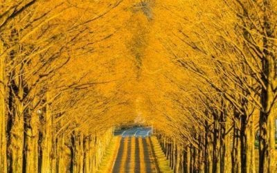 DOORPOSTS TO OUR HEART