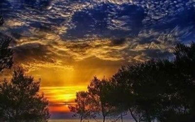 HISTORY WRITTEN IN ADVANCE