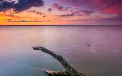 HOLDING NOTHING BACK