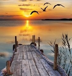 HOW THE HUMAN BODY PROVES THERE IS ONLY ONE GOD