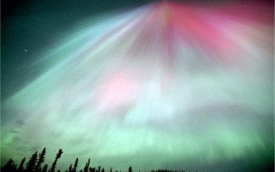 LIVING “AUTHENTICALLY”- PART 1: “KINGDOM PHYSICS”