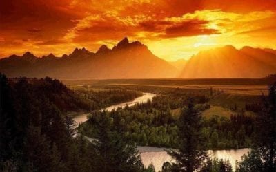 LIVING “AUTHENTICALLY” – PART 5: “GIVE vs GAIN”