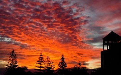 RESTORING THE SEVERED UMBILICAL