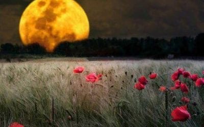 THAT WE MAY ALL BE ONE