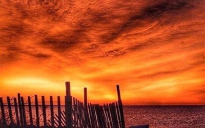 THE BROTHER’S CREED