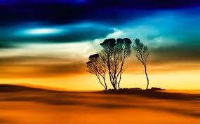 THE HEART OF AN ORPHAN