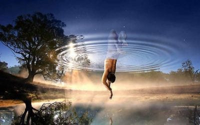 THE PROSPERITY OF THE WICKED