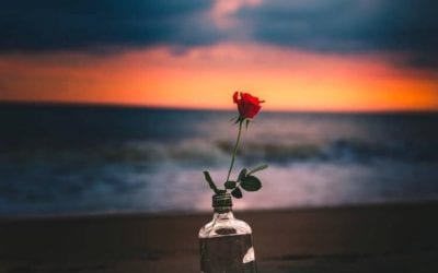 THE SANCTUARY OF PATERNAL PROXIMITY