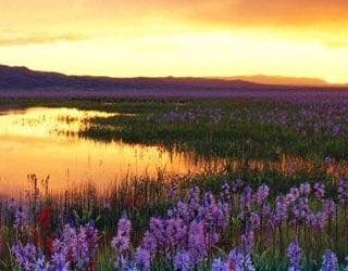 WHEN OUR FAITH GOES INTO LABOUR