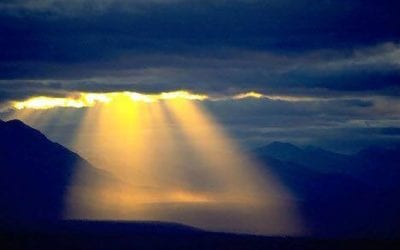 WITH THE LANGUAGE OF A KING