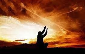 WOLVES IN SHEEP’S CLOTHING