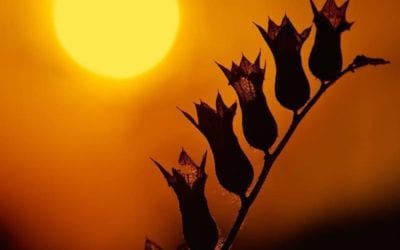 EVIDENCE THAT DEMANDS A VERDICT